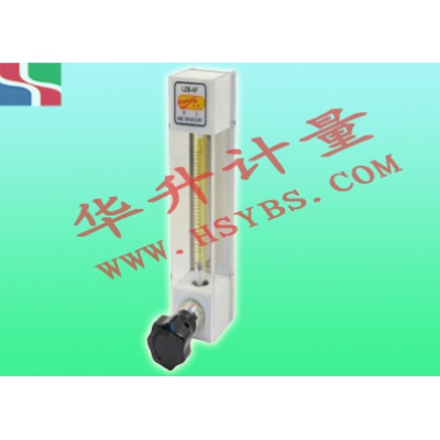 LZB-10F玻璃轉(zhuǎn)子流量計(jì)