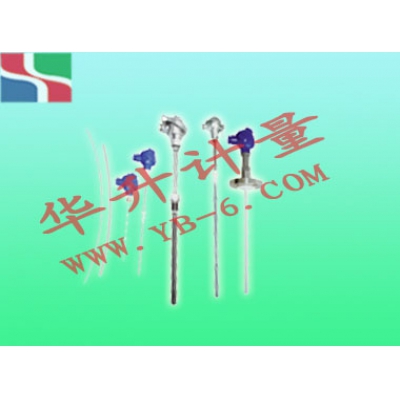 防腐熱電偶