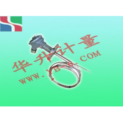 多點(diǎn)熱電偶WRN-230D
